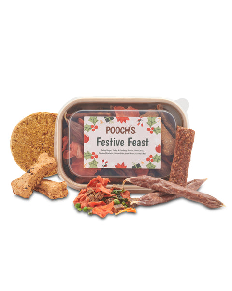 Pooch's Festive Feast